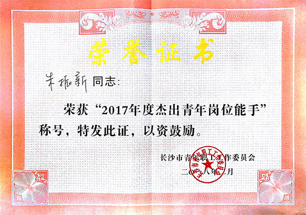壹定发智能朱振新荣获长沙市2017年度优异青年岗位能手