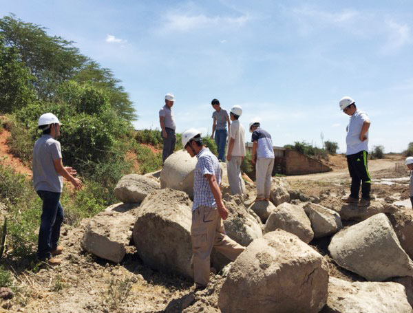 肯尼亚总统高度赞赏，，，，乞力马扎罗山下壹定发绿闪灼