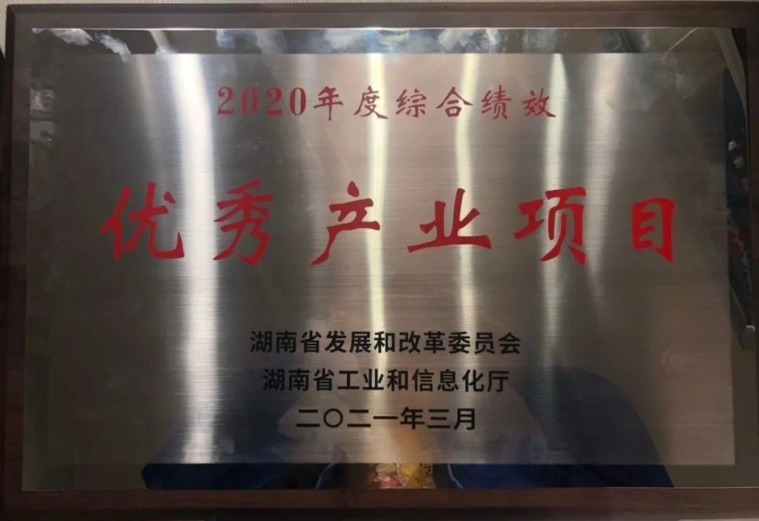 壹定发智能获评湖南“2020年度综合绩效优异工业项目”