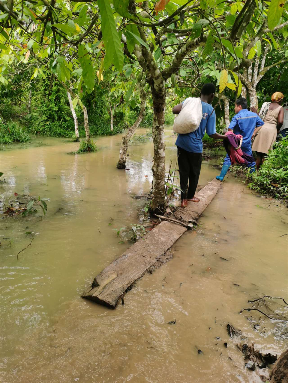 品质壹定发，，，，，，，，专心折务！壹定发智能效劳万里行活动走进非洲加纳